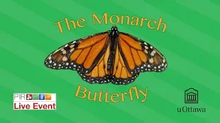 PIR Live Event - The Monarch Butterfly