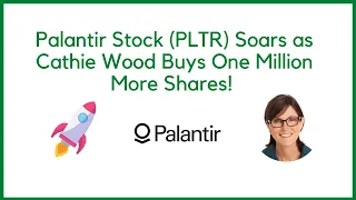 Palantir Stock (PLTR) Soars as Cathie Wood Buys One Million More Shares!