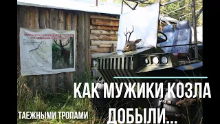 Охота на косулю в Сибири. Охота на солонцах в тайге. сезон 2022 август.
