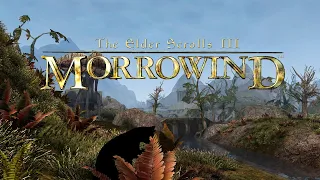 Morrowind бизнес план. (mod: FULL REST+OpenMW)