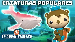 Los Octonautas - Criaturas populares | Recopilación | Episodios Completos