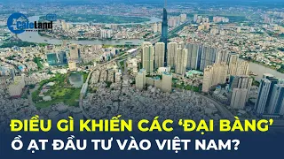 Điều gì khiến các 'ĐẠI BÀNG' ồ ạt đầu tư vào Việt Nam? | CafeLand