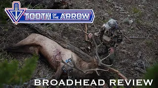 Tooth of the Arrow Broadhead Review | Elk Hunting