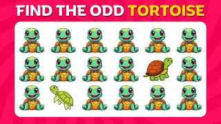 Find the ODD One Out - Animal Edition 🐵🐶 Easy, Medium and Hard Levels Quiz | Find The Odd Emoji Quiz