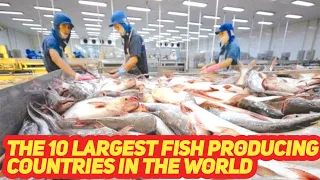 10 Largest Fish Producing Countries in The World |  What is Your Country??