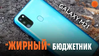 Galaxy M21: SUPER amoled, ТРОЙНАЯ камера, 6000 мАч за 220$