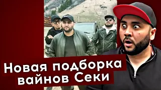 Новая подборка вайнов Секи | каштанов реакция