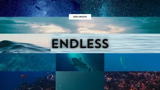 Endless