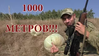 Вепрь-308 на 1000 метров попал в тыкву!!!