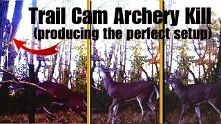 Making a Horizontal Rub or Mock Scrape WORK for You! Archery Kill Caught on Trail Camera!!