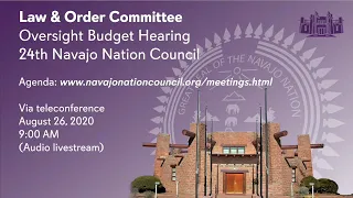 Full Audio: Law & Order Committee Budget Hearing via Telecommunications (08/26/2020)