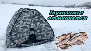 Закормил лунки и она попёрла!!! Зимняя рыбалка на плотву. Окунь и сорога на мормышку