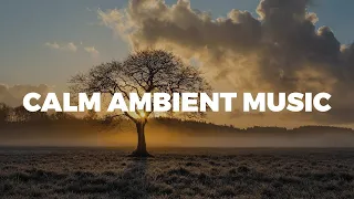 Calm Space Ambient Music. Cosmic Harmony. ambient cosmic music