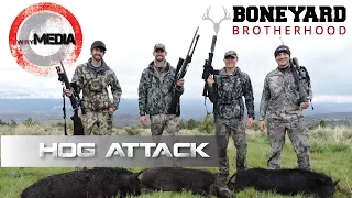 Wild Hog Hunt | Herd of 30 + Wild Boars Charge Hunters