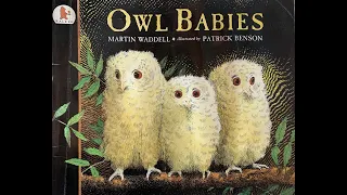 Owl Babies - Give Us A Story!