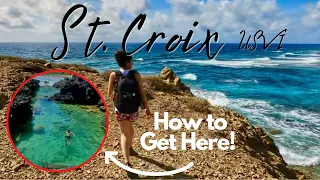 St. Croix USVI | 5 Things To Do