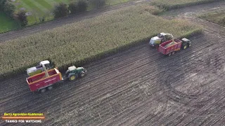 🌽 Chopping corn - Riphagen uit Vaassen | Mais kneuzen met 2x Hakselaars | Ensilage de mais | NL 🌽