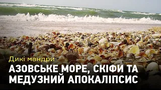 Дикі мандри: Азовське море, скіфи, 165 років війни та медузний апокаліпсис