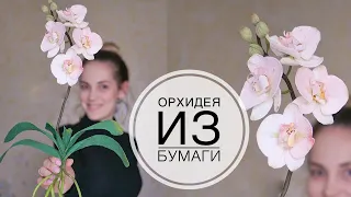 Paper ORCHID / ОРХИДЕЯ из бумаги / Как долго ее ждали / DIY TSVORIC