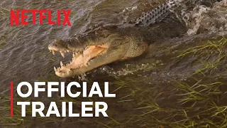 Wild Croc Territory | Official Trailer | Netflix