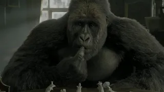 Dolittle (2020) - Gorilla Chess Scene (1/10) | Movie Clips