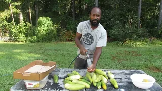 How to Extract and Save Cucumber Seeds