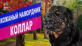 Кожаный намордник для собак | Обзор кожаный намордник для собак Collar