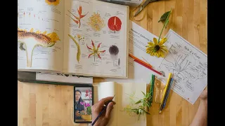 Behind the Scenes of NYBG's New Plant Studio