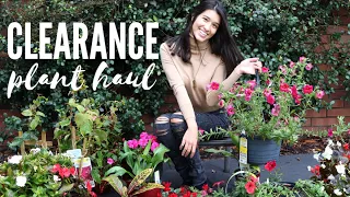 LOWE'S CLEARANCE PLANT HAUL | Flowers + Outdoor Plants $7 and Under!