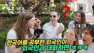 한국어를 딥하게 배운 외국인이 한국에 온 외국인들을 만나면 생기는 일, 한국온  외국인들이 충격 먹는 이유ㅋㅋ