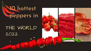 10 Hottest Peppers In The World 2022