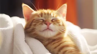 Calming Music for Anxious Cats - Cat Music for Deep Relaxation and Sleep, Music For Cats