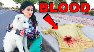 My Puppy Found Blood...