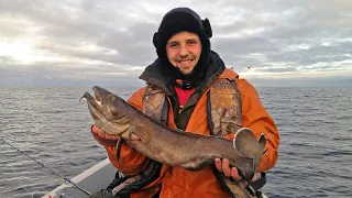 Морская рыбалка, Баренцево море. Октябрь-2016/Sea fishing, Barents Sea. October-2016