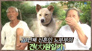 70년째 신혼 같은 노부부💕 강아지가 반기는 건 수의 장인 할머니뿐이다🐶 | 상길 할머니의 만가 | KBS 인간극장 2013 방송