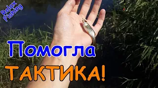 🎣 Как отсечь МЕЛКУЮ рыбу - проверка тактик. Карась и сазан среди краснопёрок и плотвы