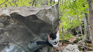 Amber 8A+/B, Brione