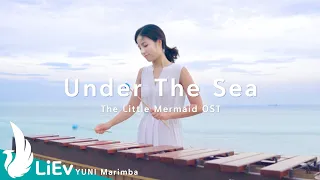 [2k][LiEv]The Little Mermaid(Soundtrack) - Under The Sea | by. YUNI Marimba