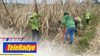 Kabayan | TeleRadyo (14 March 2023)