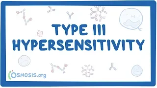 Type III hypersensitivity (immune complex mediated) - causes, symptoms & pathology