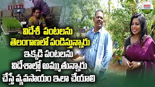 పంటలు పండించుడే కాదు, ఈమెలా చేస్తే రైతే రాజు | How a farmer can becoming rich - ABN Agri