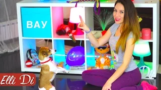 The most clever dog on YouTube | part 1 | Elli Di Dogs