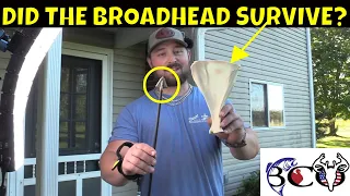 150 grain iron will solid broadhead vs whitetail shoulder blade | bco review |
