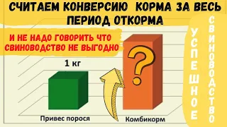 Видео для тех, кто говорит что бизнес на свиньях не выгоден. Какая получилась конверсия на откорме.