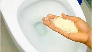 Pour Rice in the toilet tank and you'll thank me forever