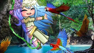 All The Birds Of A Feather Gacha Meme