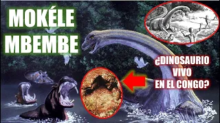 ¿Dinosaurio Vivo en el Congo? | El Mokéle Mbembe: En Busca del Último Dinosaurio | Criptozoología