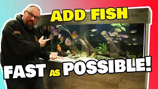 Add fish as FAST as possible to your new aquarium!