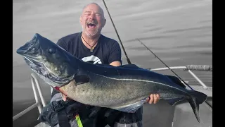 SOMMAROY 2023 "Fische der Extreme" Angeln in Norwegen