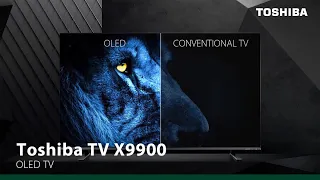 Toshiba X9900 - Precise Colors, Ultimate Brightness